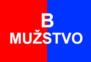 TJ Letonice B – FK Křižanovice B 8:3 (4:2)